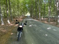 IMG_1790.jpeg