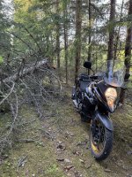 IMG_4073.jpeg