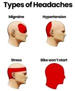 1000033593.jpg