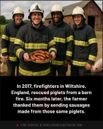 FB_IMG_1749233069615.jpg