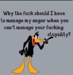 Manage_anger_vs_stupidity.jpg