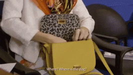 jenny-lorenzo-laura-di-lorenzo.gif