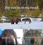1749558126429.png