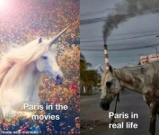 1749627366292.png