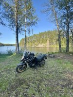 IMG_4132.jpeg