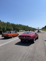 IMG_6132.jpeg