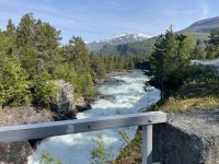 IMG_1889.jpeg