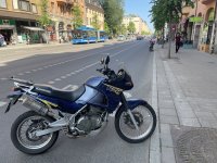 IMG_1903.jpeg