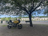 IMG_1911.jpeg