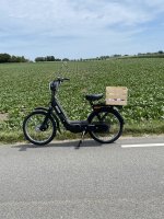 IMG_6147.jpeg