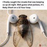 FB_IMG_1750535136158.jpg