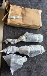 IMG_6784.jpeg