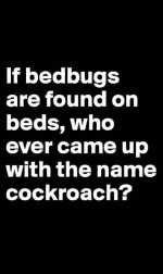 FB_IMG_1750619604096.jpg