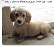 FB_IMG_1750706582044.jpg