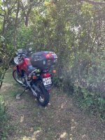 IMG_6153.jpeg