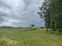 IMG_1958.jpeg
