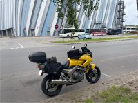 IMG_1959.jpeg