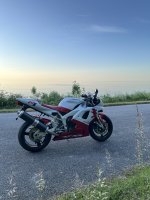 IMG_0290.jpeg