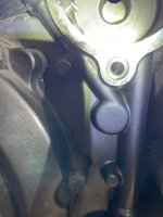 IMG_5536.jpeg