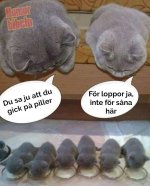 FB_IMG_1751131866835.jpg