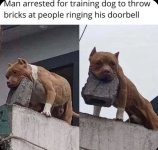 FB_IMG_1751132615321.jpg