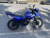 IMG_2006.jpeg