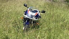 IMG_7450.jpeg