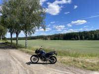 IMG_2016.jpeg
