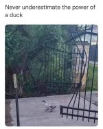 1751405644539.jpeg
