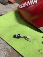 IMG_4322.jpeg