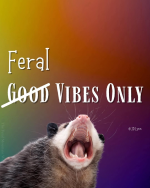 1751805810725.png