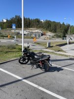 IMG_0917.jpeg