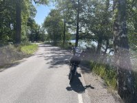 IMG_2034.jpeg