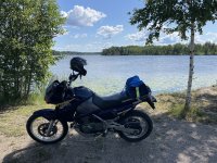 IMG_2037.jpeg