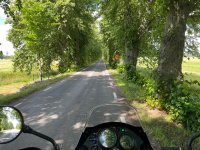 IMG_2041.jpeg
