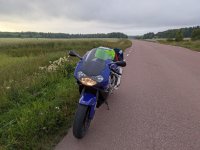 PXL_20250714_173556140.jpg