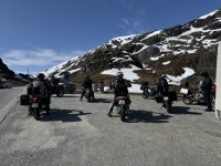 IMG_4221.jpeg