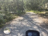 IMG_2082.jpeg