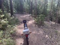 IMG_2084.jpeg