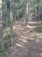IMG_2085.jpeg