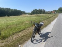 IMG_2087.jpeg