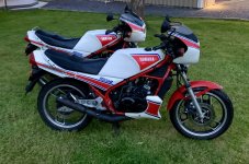 IMG_1034_Original.jpeg