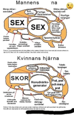 1753076506370.png