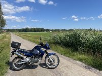 IMG_2102.jpeg