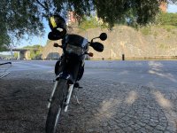 IMG_2104.jpeg