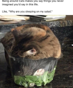 1753275920787.png