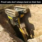 1753276034844.png
