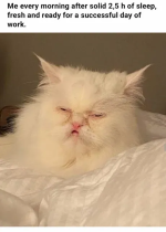 1753276205348.png