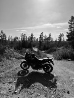 IMG_4849.jpeg