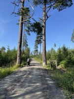 IMG_4845.jpeg